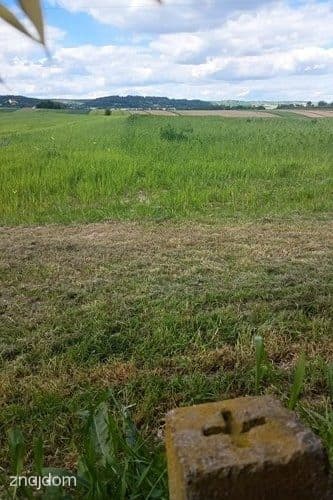 Działka rolna | Cholerzyn | 5400 m2 - zdjęcie 4