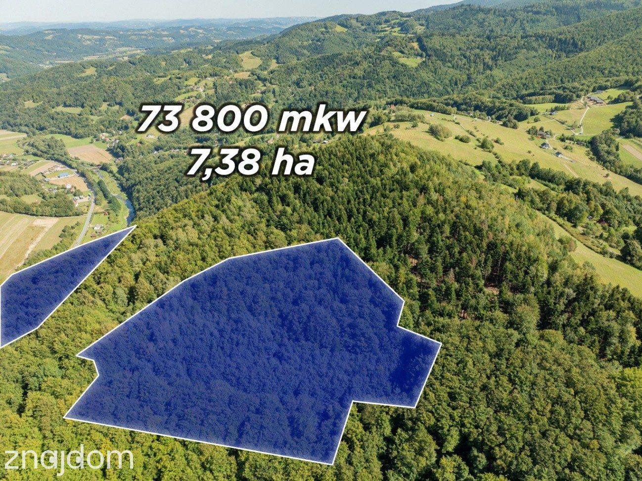 DZIAŁKI LEŚNE 73 800 m² – Młynne | Beskid Wyspowy