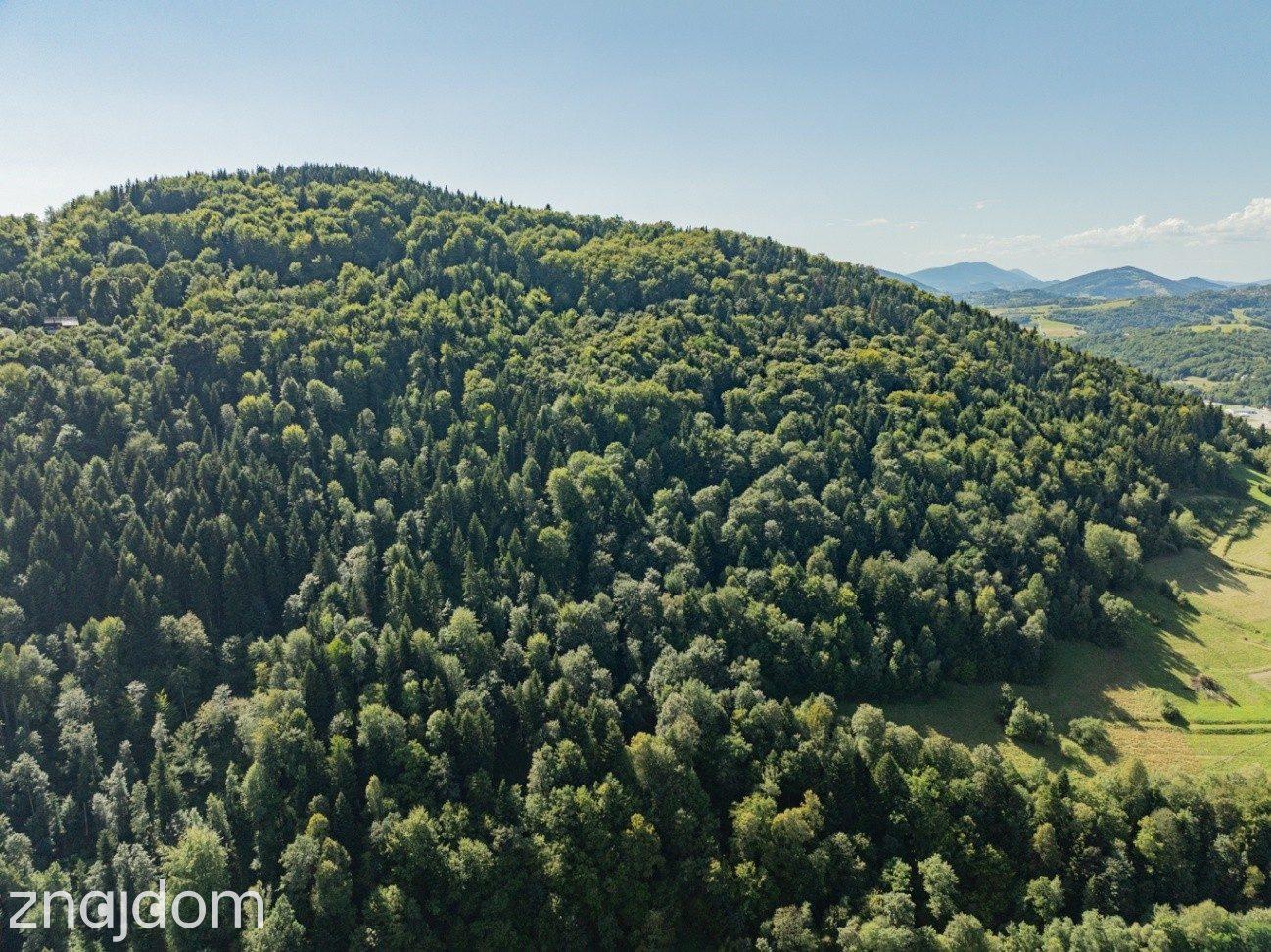 DZIAŁKI LEŚNE 73 800 m² – Młynne | Beskid Wyspowy - zdjęcie 11
