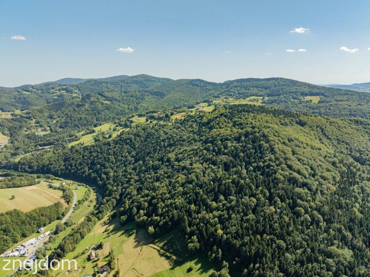 DZIAŁKI LEŚNE 73 800 m² – Młynne | Beskid Wyspowy - zdjęcie 14