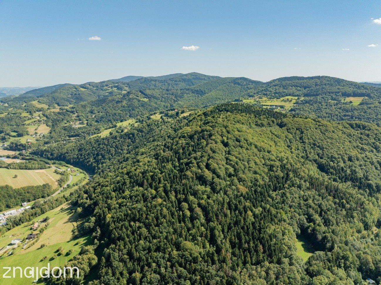 DZIAŁKI LEŚNE 73 800 m² – Młynne | Beskid Wyspowy - zdjęcie 15