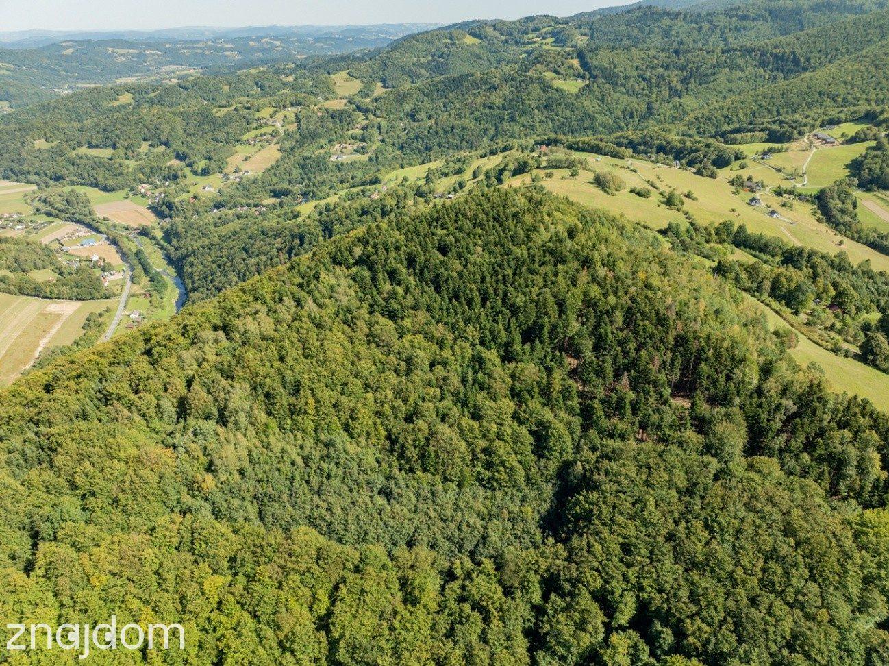 DZIAŁKI LEŚNE 73 800 m² – Młynne | Beskid Wyspowy - zdjęcie 16