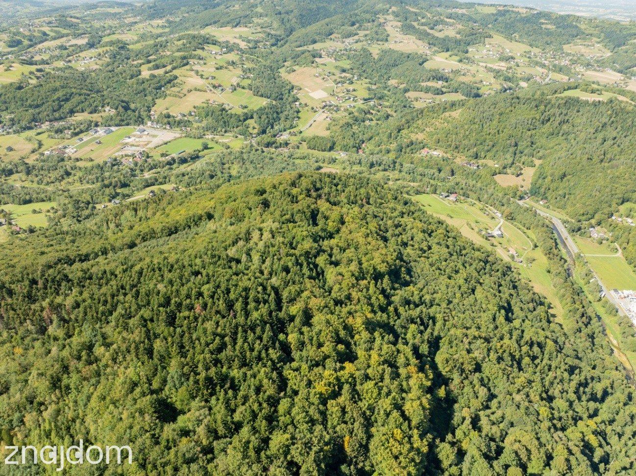 DZIAŁKI LEŚNE 73 800 m² – Młynne | Beskid Wyspowy - zdjęcie 17