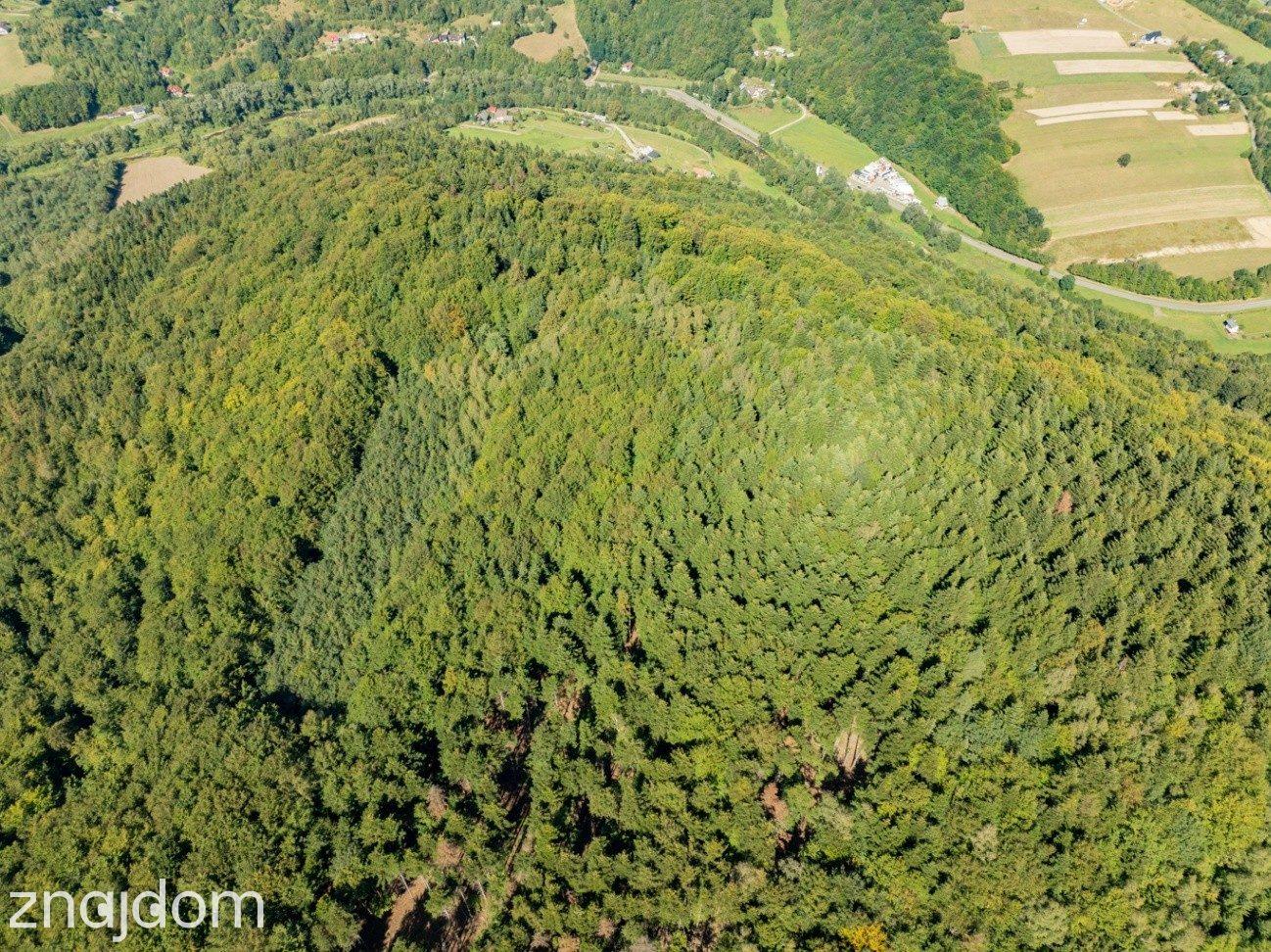 DZIAŁKI LEŚNE 73 800 m² – Młynne | Beskid Wyspowy - zdjęcie 19