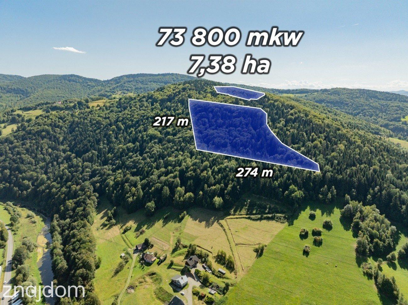 DZIAŁKI LEŚNE 73 800 m² – Młynne | Beskid Wyspowy - zdjęcie 2