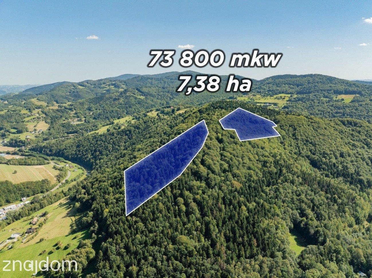 DZIAŁKI LEŚNE 73 800 m² – Młynne | Beskid Wyspowy - zdjęcie 3