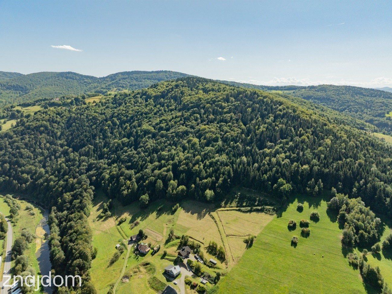 DZIAŁKI LEŚNE 73 800 m² – Młynne | Beskid Wyspowy - zdjęcie 4