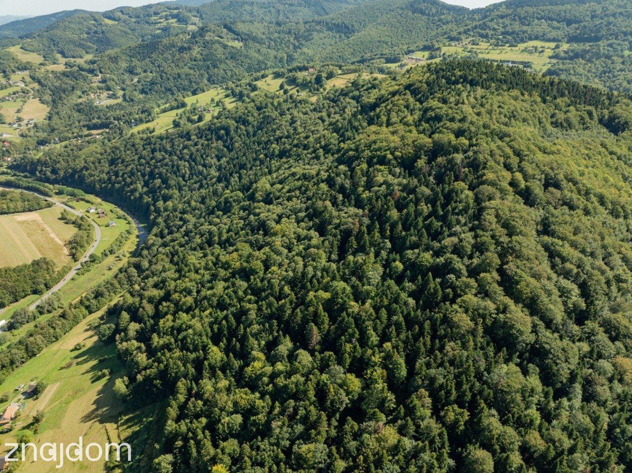 DZIAŁKI LEŚNE 73 800 m² – Młynne | Beskid Wyspowy - zdjęcie 5