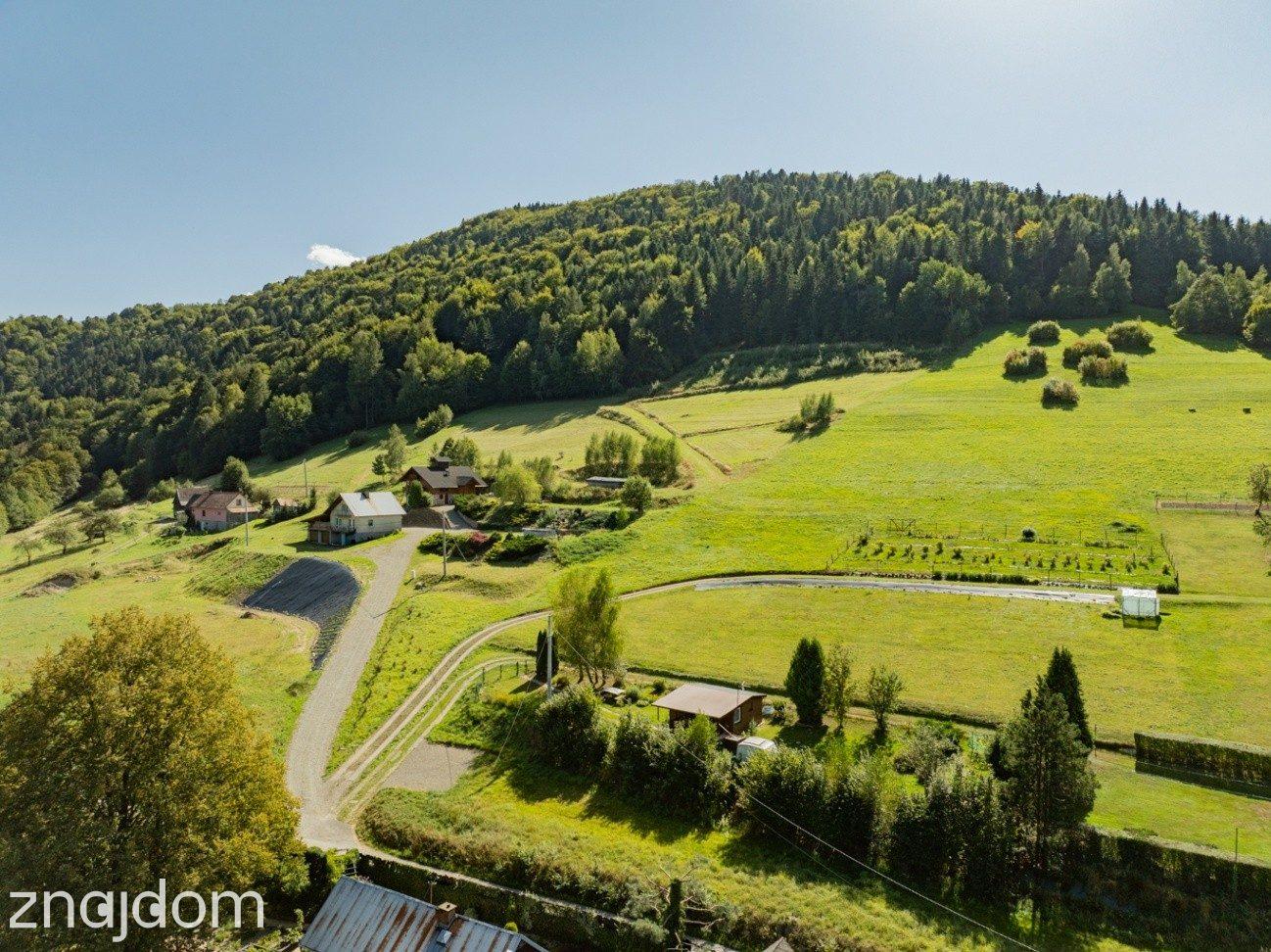 DZIAŁKI LEŚNE 73 800 m² – Młynne | Beskid Wyspowy - zdjęcie 7