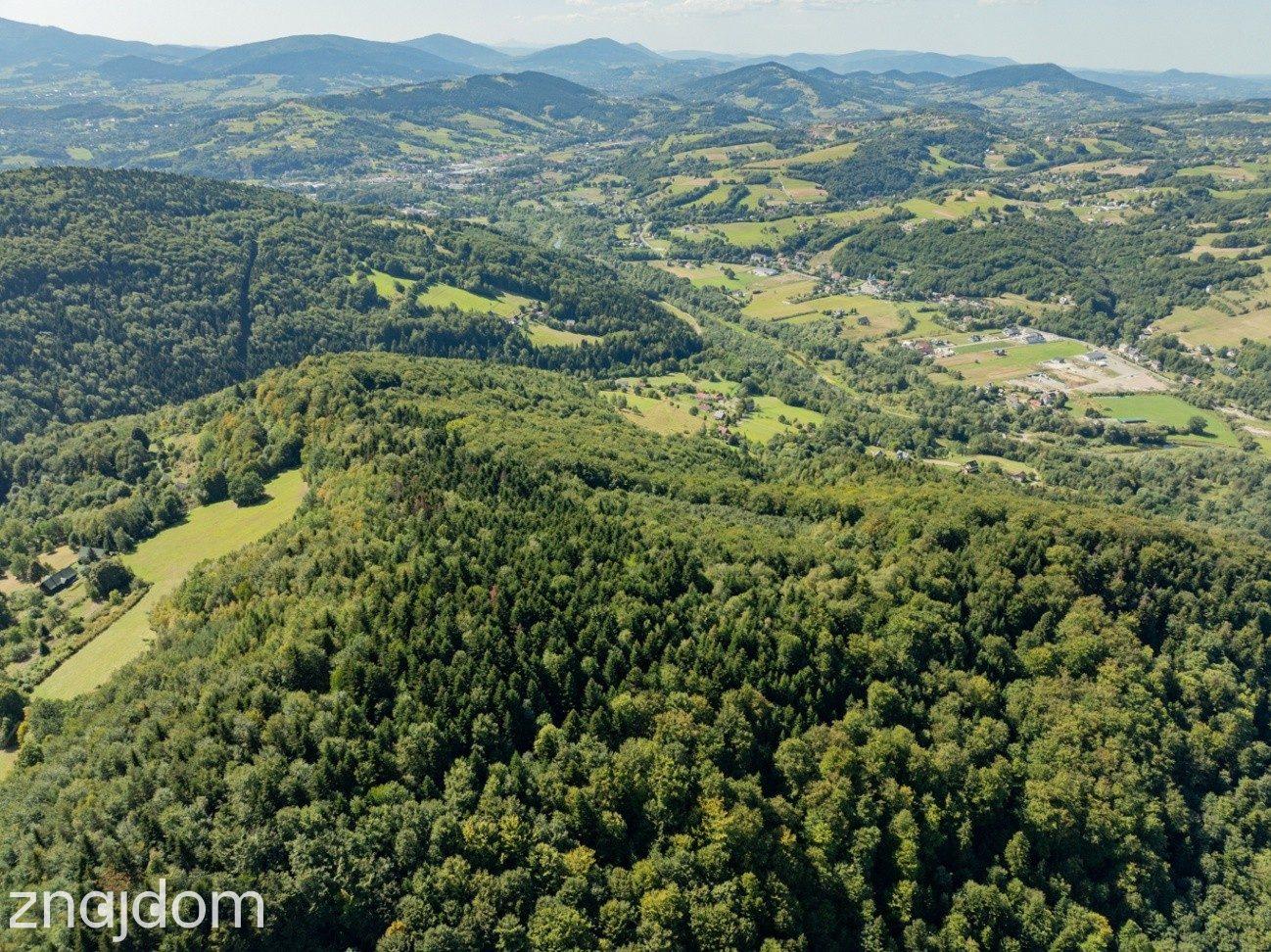 DZIAŁKI LEŚNE 73 800 m² – Młynne | Beskid Wyspowy - zdjęcie 8