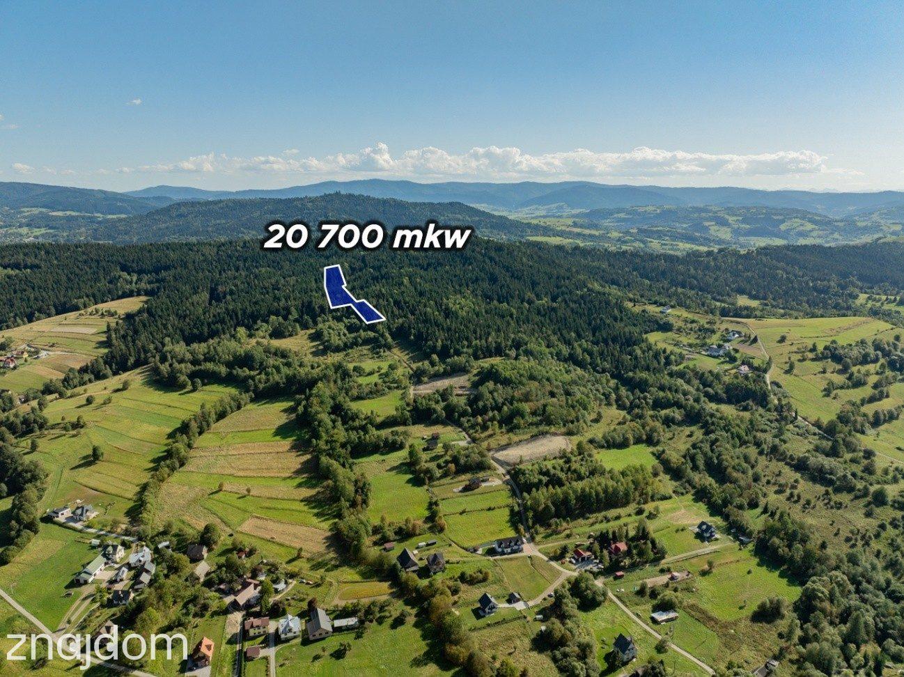DZIAŁKI LEŚNE 20 700 m² – Kasina Wielka | Beskid Wyspowy