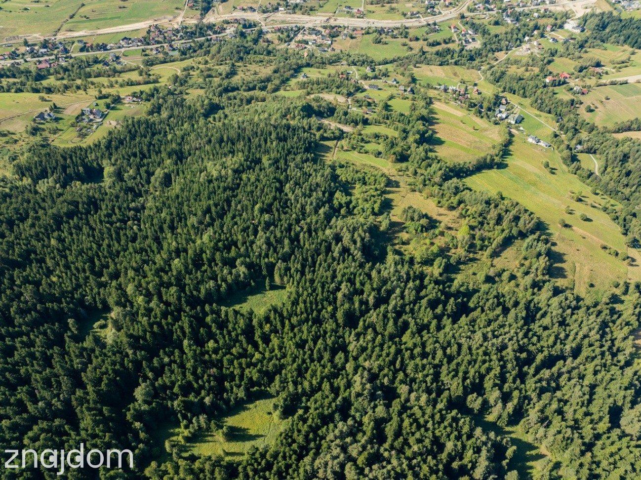 DZIAŁKI LEŚNE 20 700 m² – Kasina Wielka | Beskid Wyspowy - zdjęcie 10