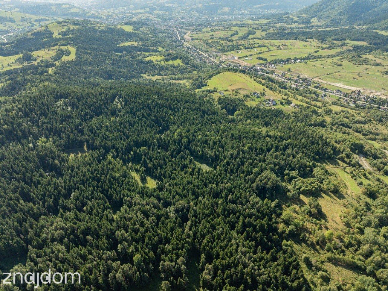 DZIAŁKI LEŚNE 20 700 m² – Kasina Wielka | Beskid Wyspowy - zdjęcie 11