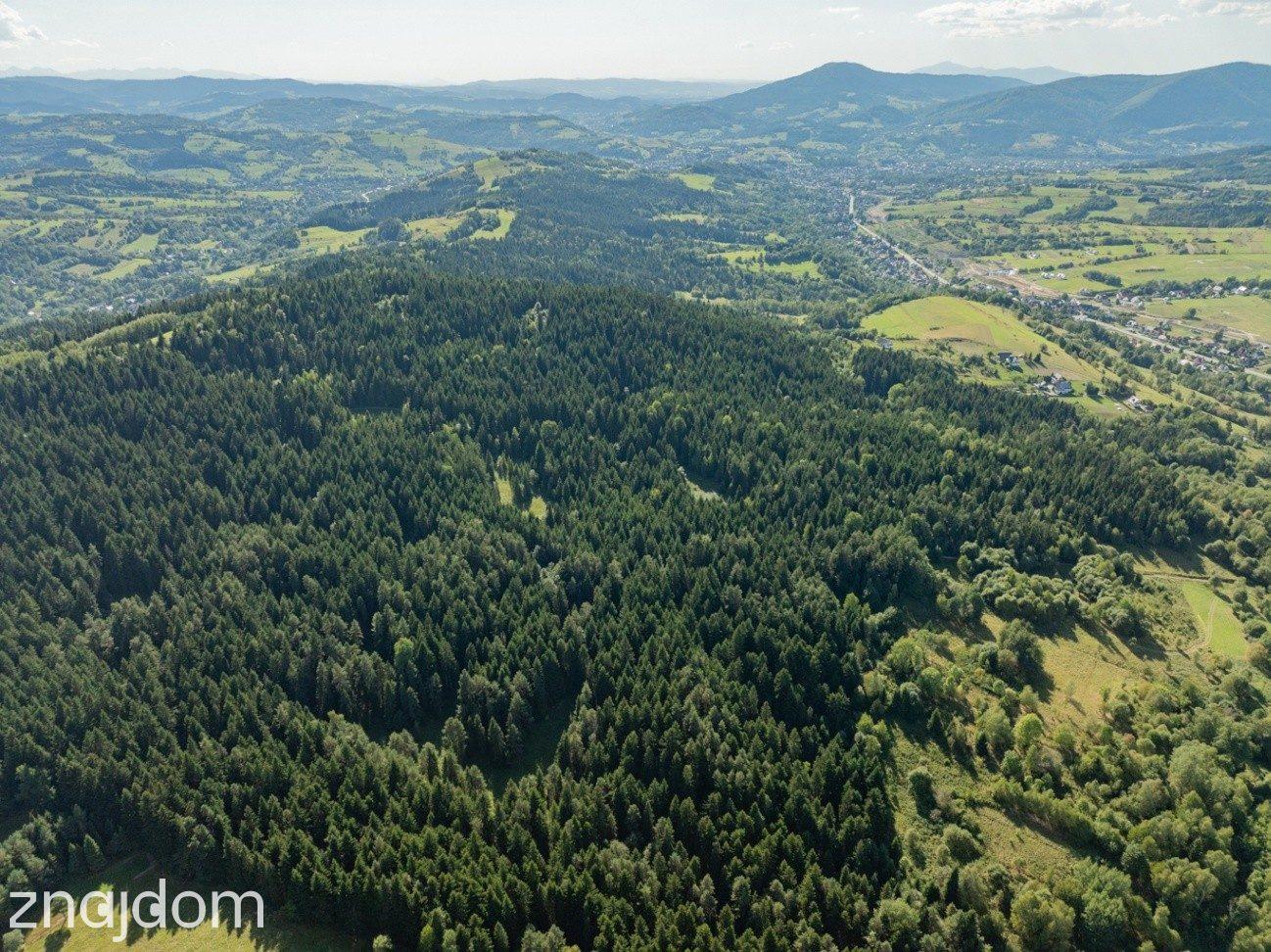 DZIAŁKI LEŚNE 20 700 m² – Kasina Wielka | Beskid Wyspowy - zdjęcie 12
