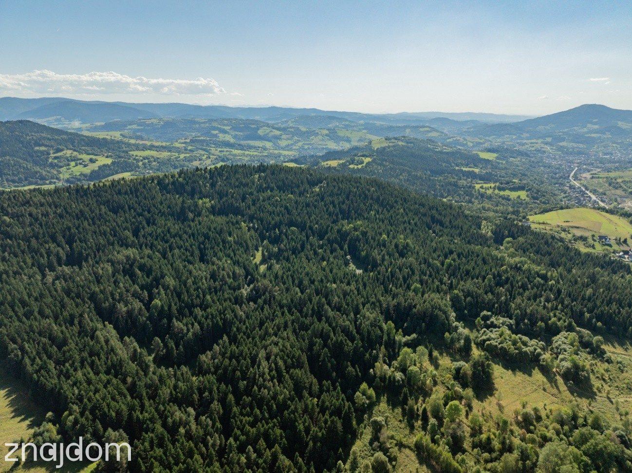 DZIAŁKI LEŚNE 20 700 m² – Kasina Wielka | Beskid Wyspowy - zdjęcie 13