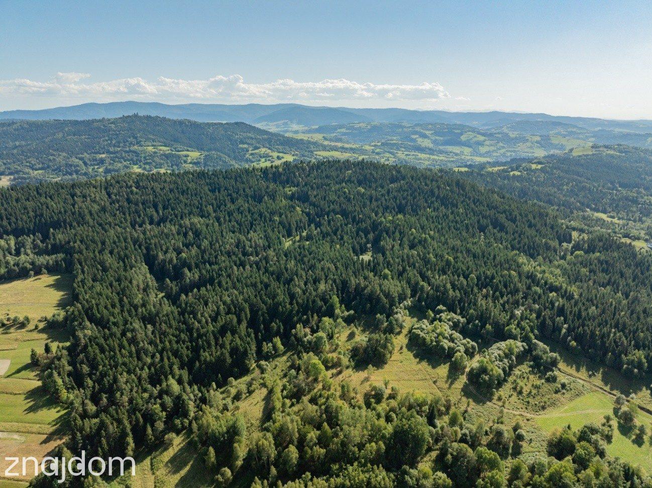 DZIAŁKI LEŚNE 20 700 m² – Kasina Wielka | Beskid Wyspowy - zdjęcie 14