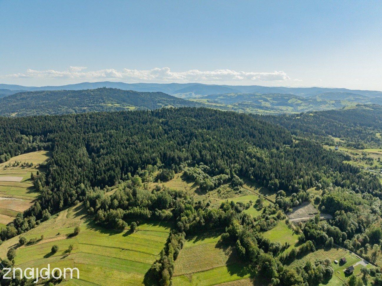 DZIAŁKI LEŚNE 20 700 m² – Kasina Wielka | Beskid Wyspowy - zdjęcie 15