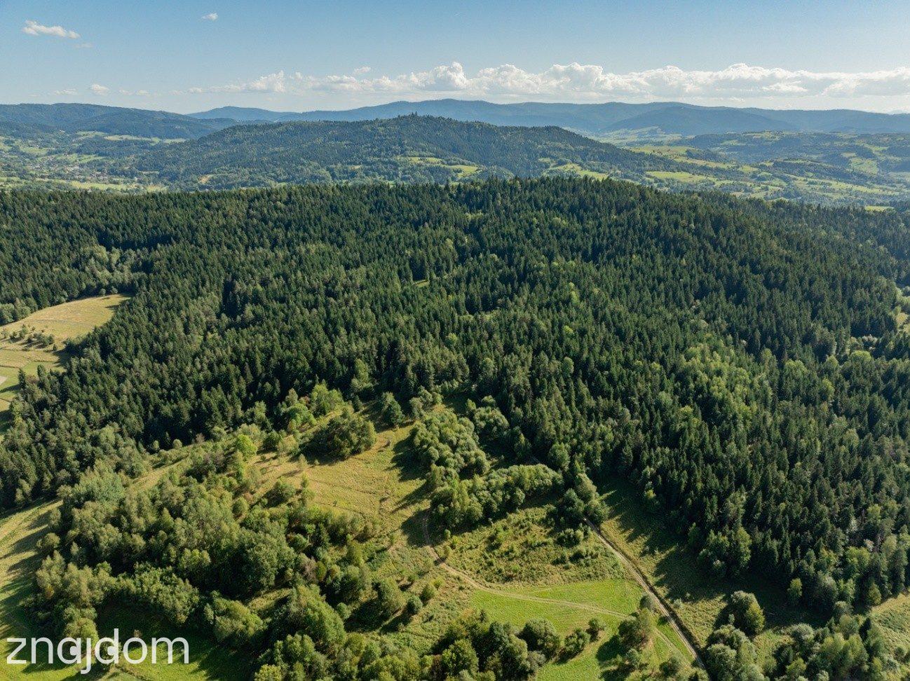 DZIAŁKI LEŚNE 20 700 m² – Kasina Wielka | Beskid Wyspowy - zdjęcie 16