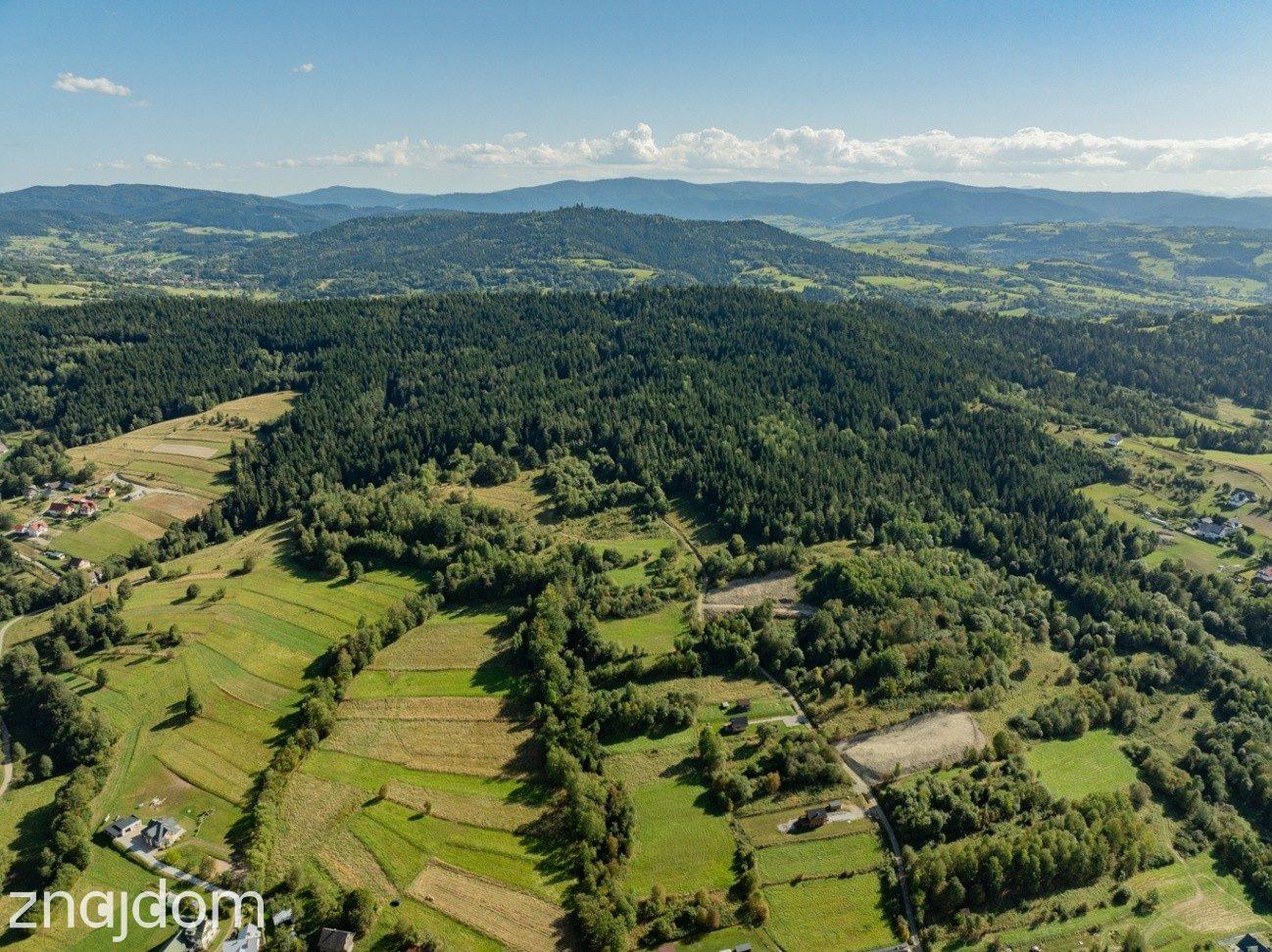 DZIAŁKI LEŚNE 20 700 m² – Kasina Wielka | Beskid Wyspowy - zdjęcie 17