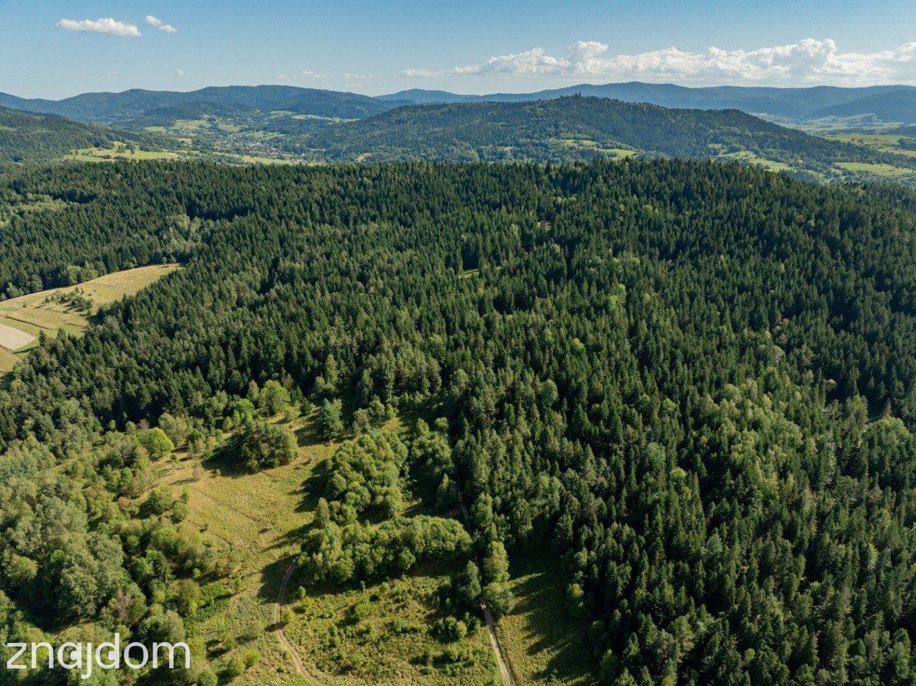 DZIAŁKI LEŚNE 20 700 m² – Kasina Wielka | Beskid Wyspowy - zdjęcie 6