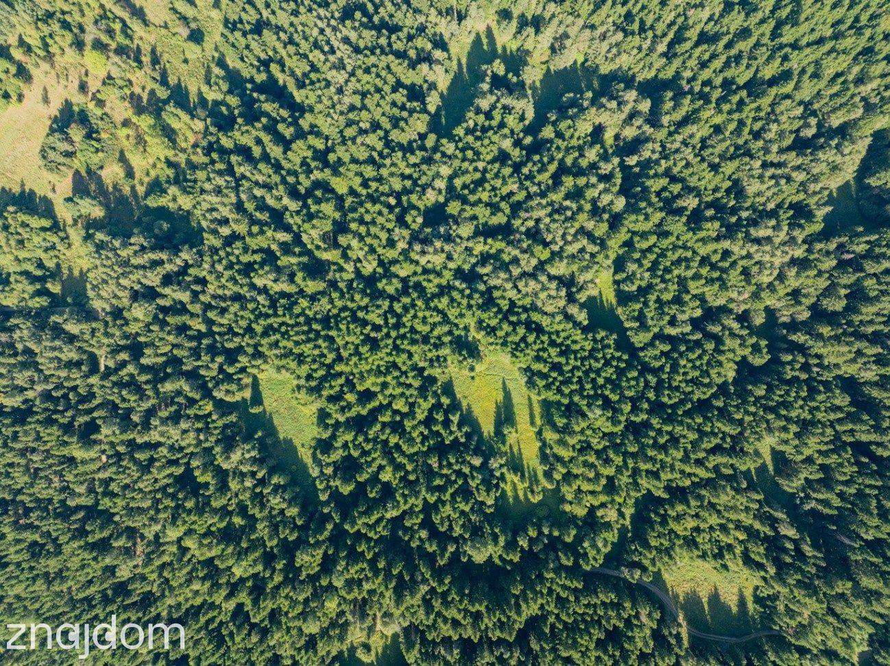 DZIAŁKI LEŚNE 20 700 m² – Kasina Wielka | Beskid Wyspowy - zdjęcie 8