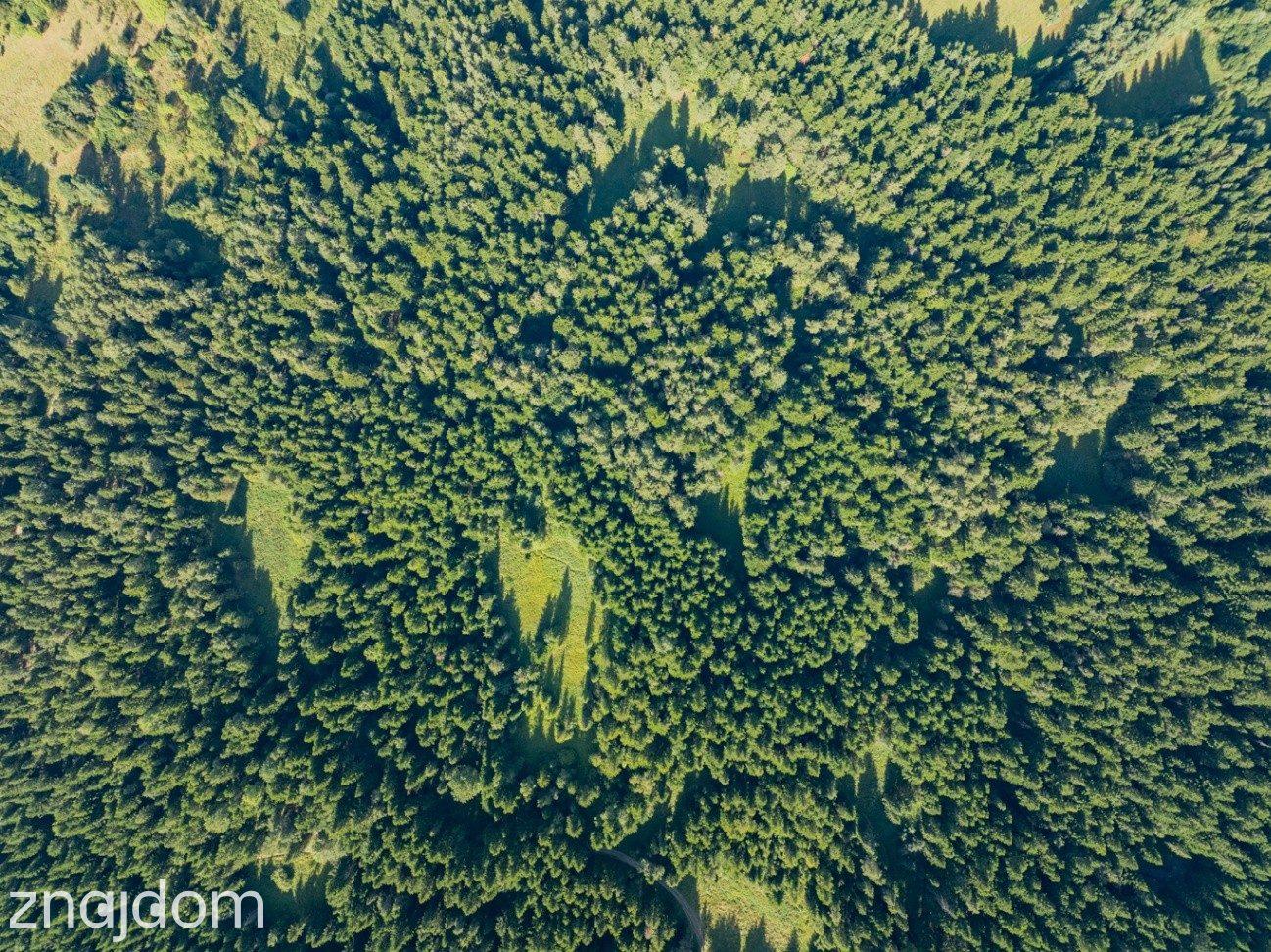 DZIAŁKI LEŚNE 20 700 m² – Kasina Wielka | Beskid Wyspowy - zdjęcie 9