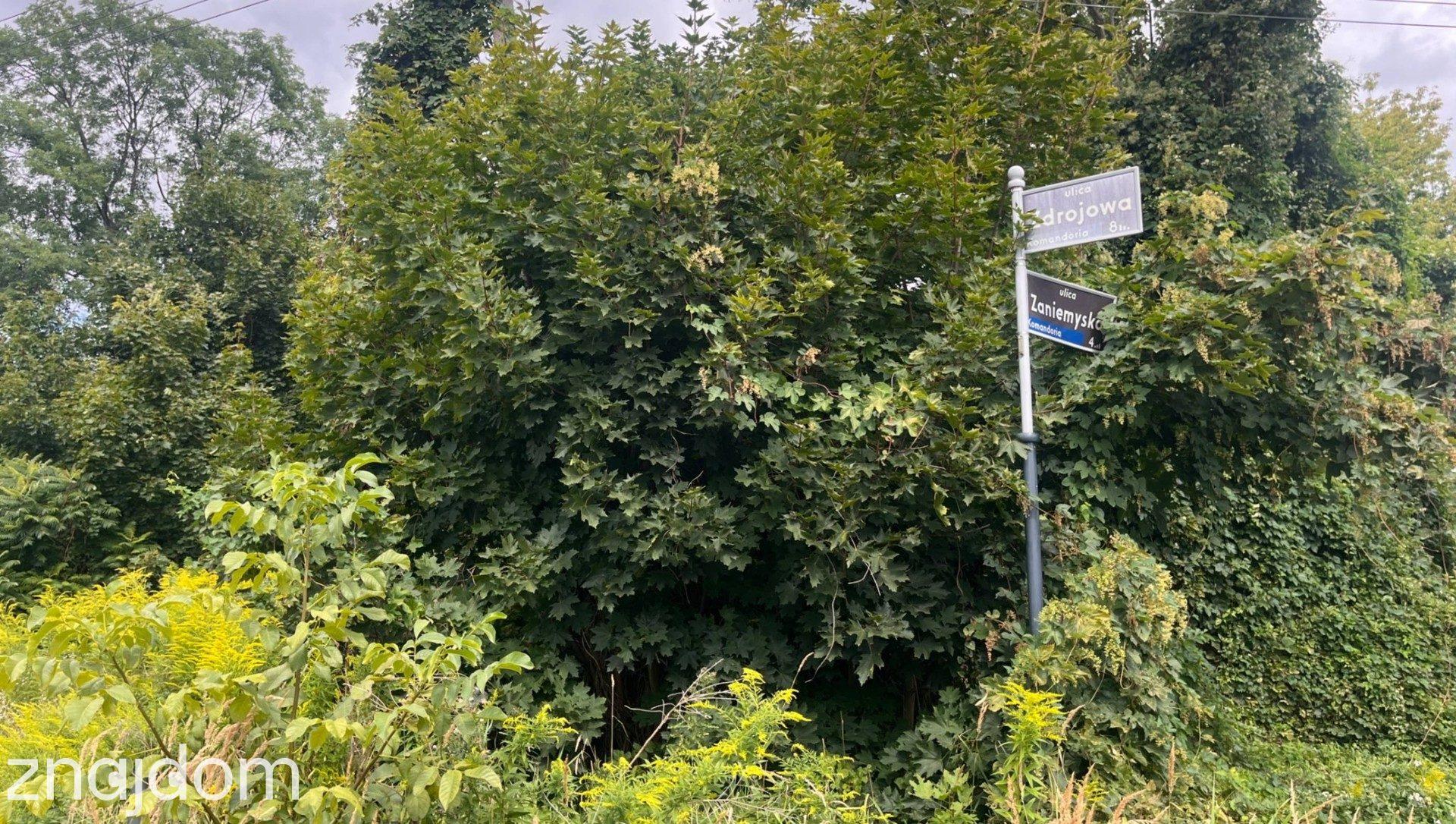 Teren inwestycyjny 3 423 m² (kompleks 4 działek)