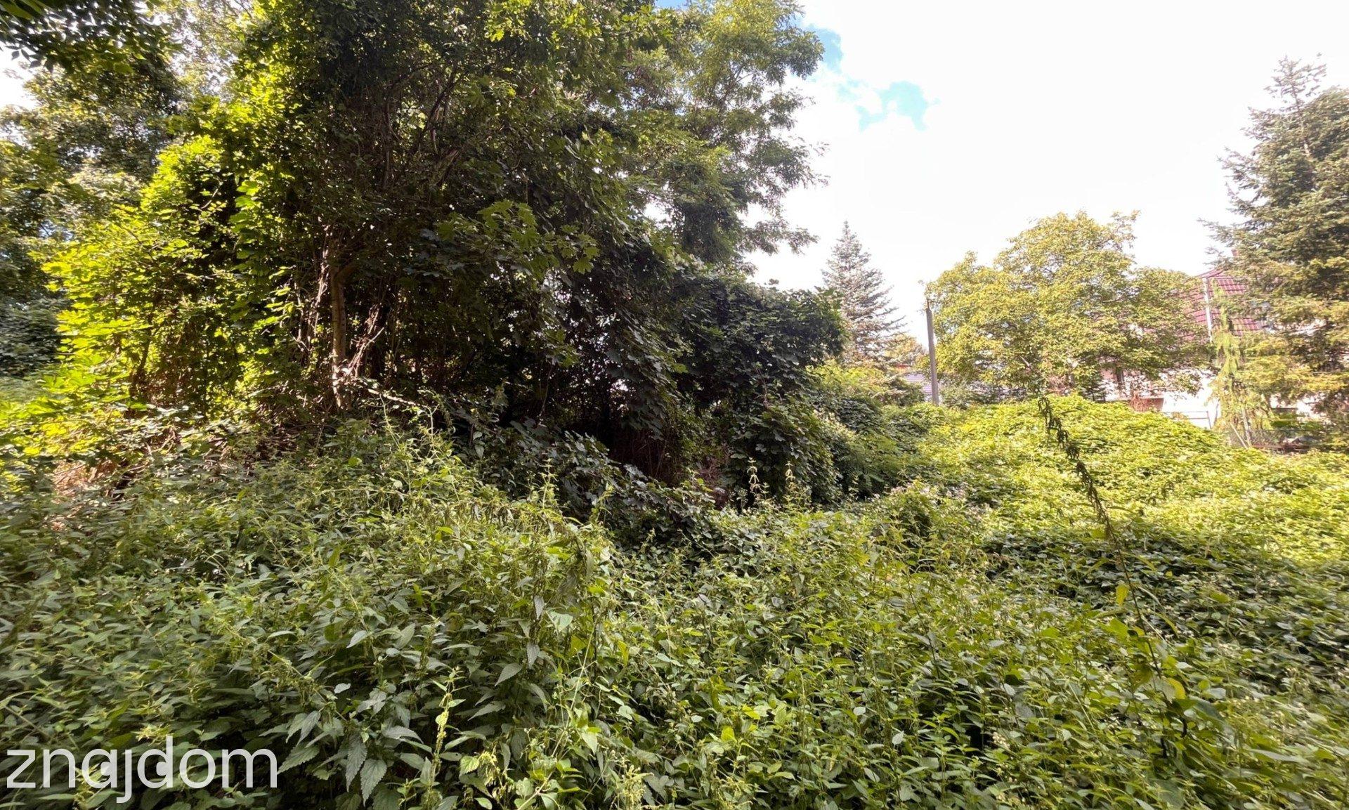 Teren inwestycyjny 3 423 m² (kompleks 4 działek) - zdjęcie 6