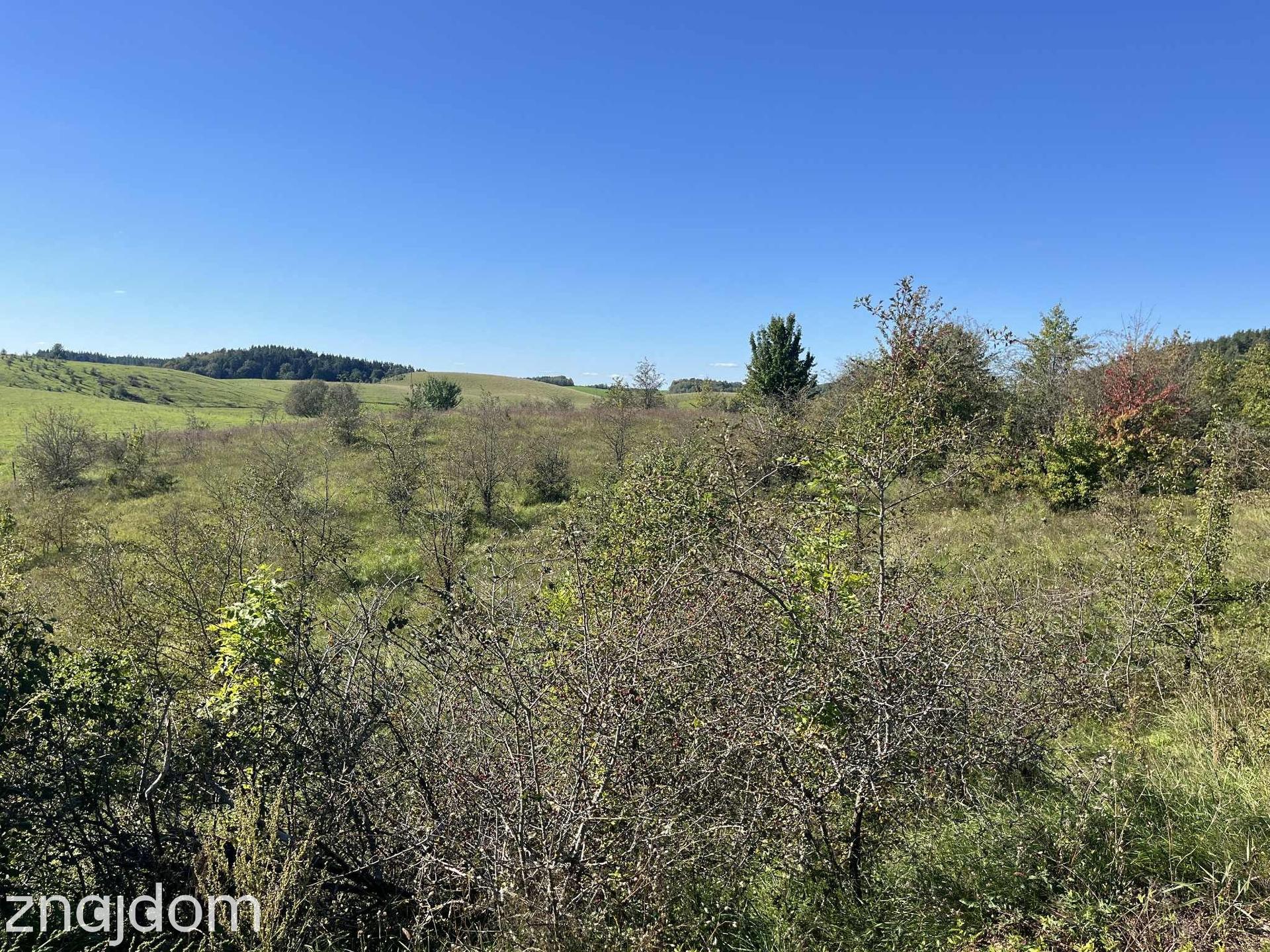 Działka na Mazurach - 3 chwile do jeziora - zdjęcie 8
