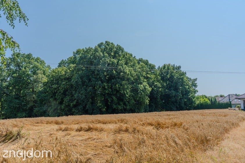 Działka budowlana Bielsko-Biała, bez prowizji! - zdjęcie 2