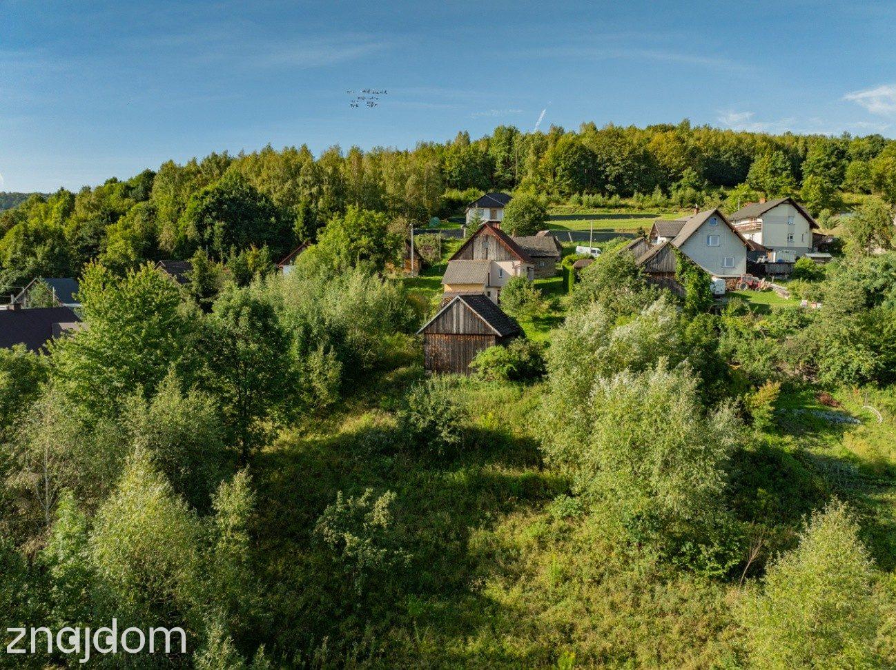 18 działek Koziniec 1,27 ha | MN + las | Jezioro Mucharskie - zdjęcie 11