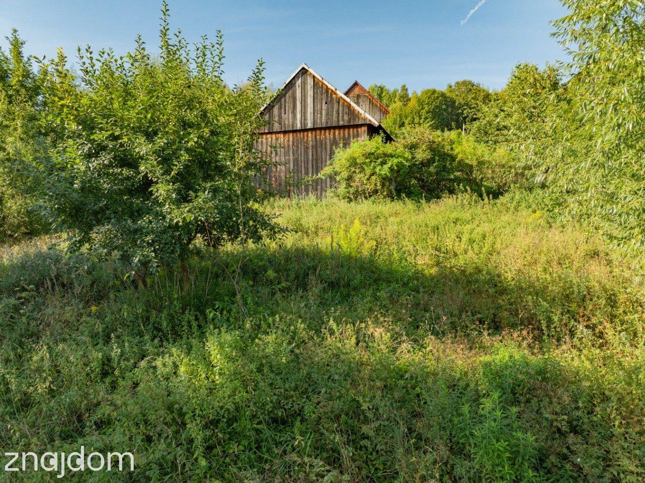 18 działek Koziniec 1,27 ha | MN + las | Jezioro Mucharskie - zdjęcie 4
