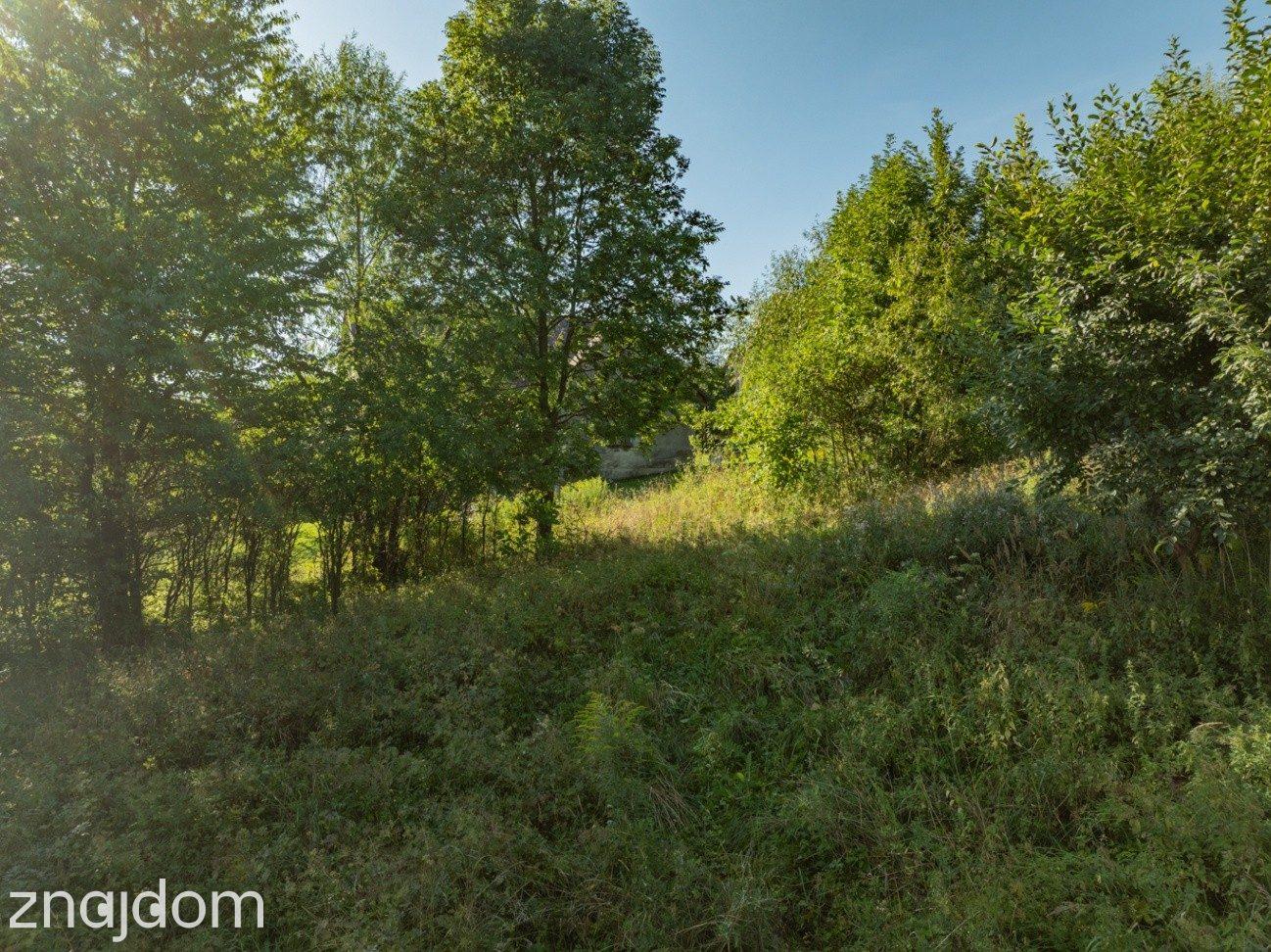 18 działek Koziniec 1,27 ha | MN + las | Jezioro Mucharskie - zdjęcie 5