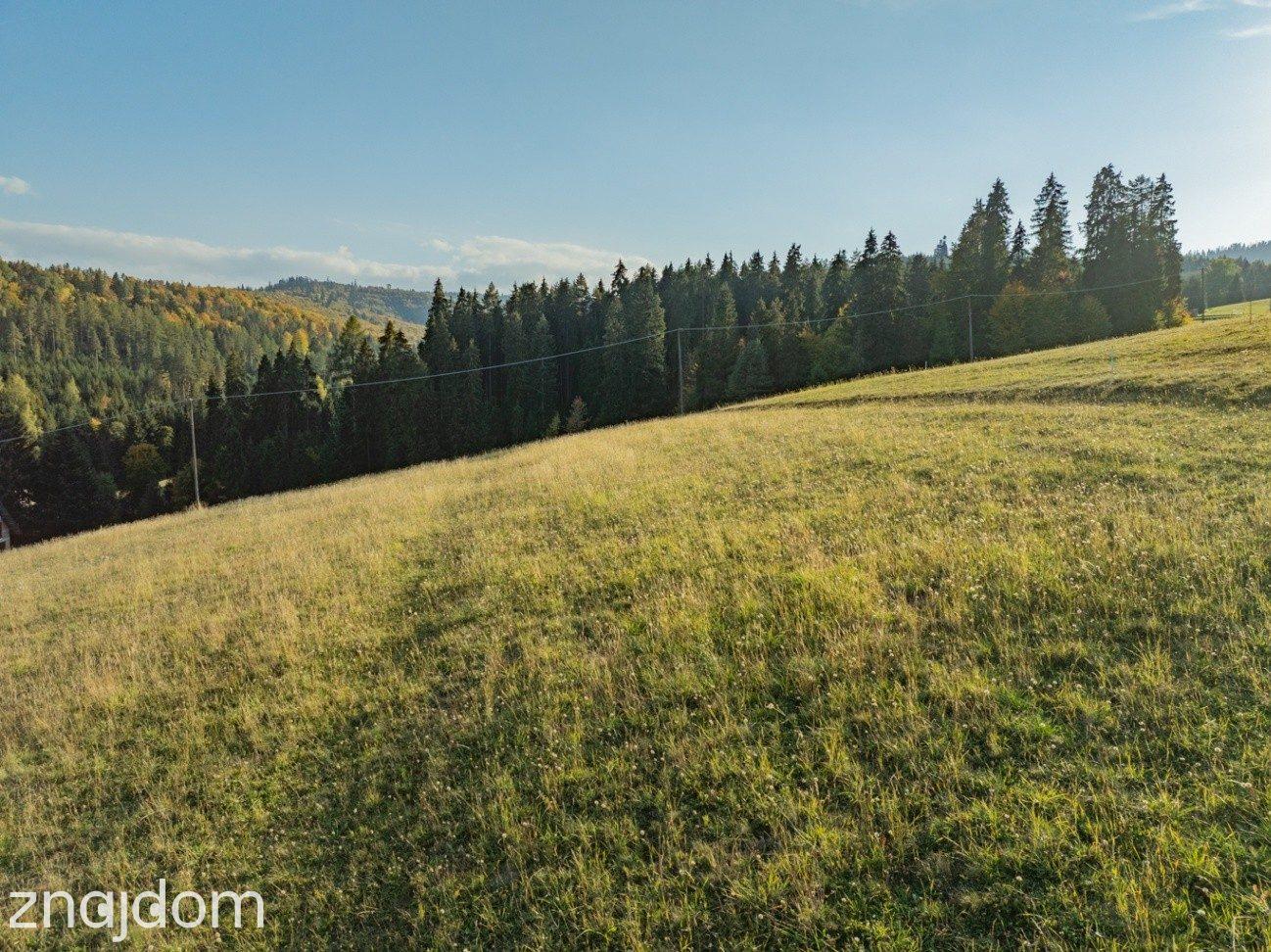 Działka budowlana - Łapsze Niżne - 2000m2 - zdjęcie 10