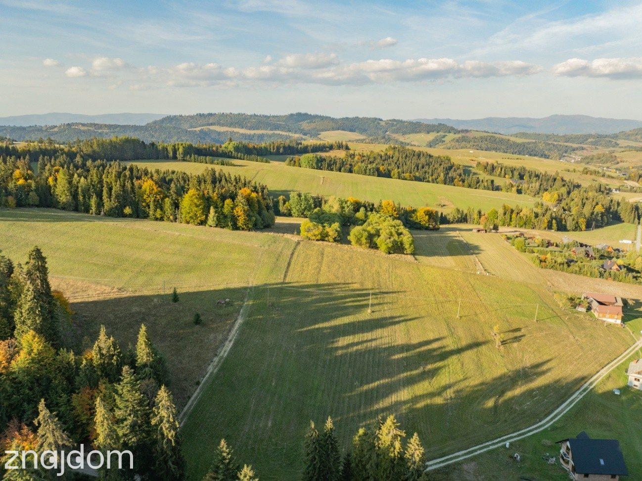 Działka budowlana - Łapsze Niżne - 2000m2 - zdjęcie 12