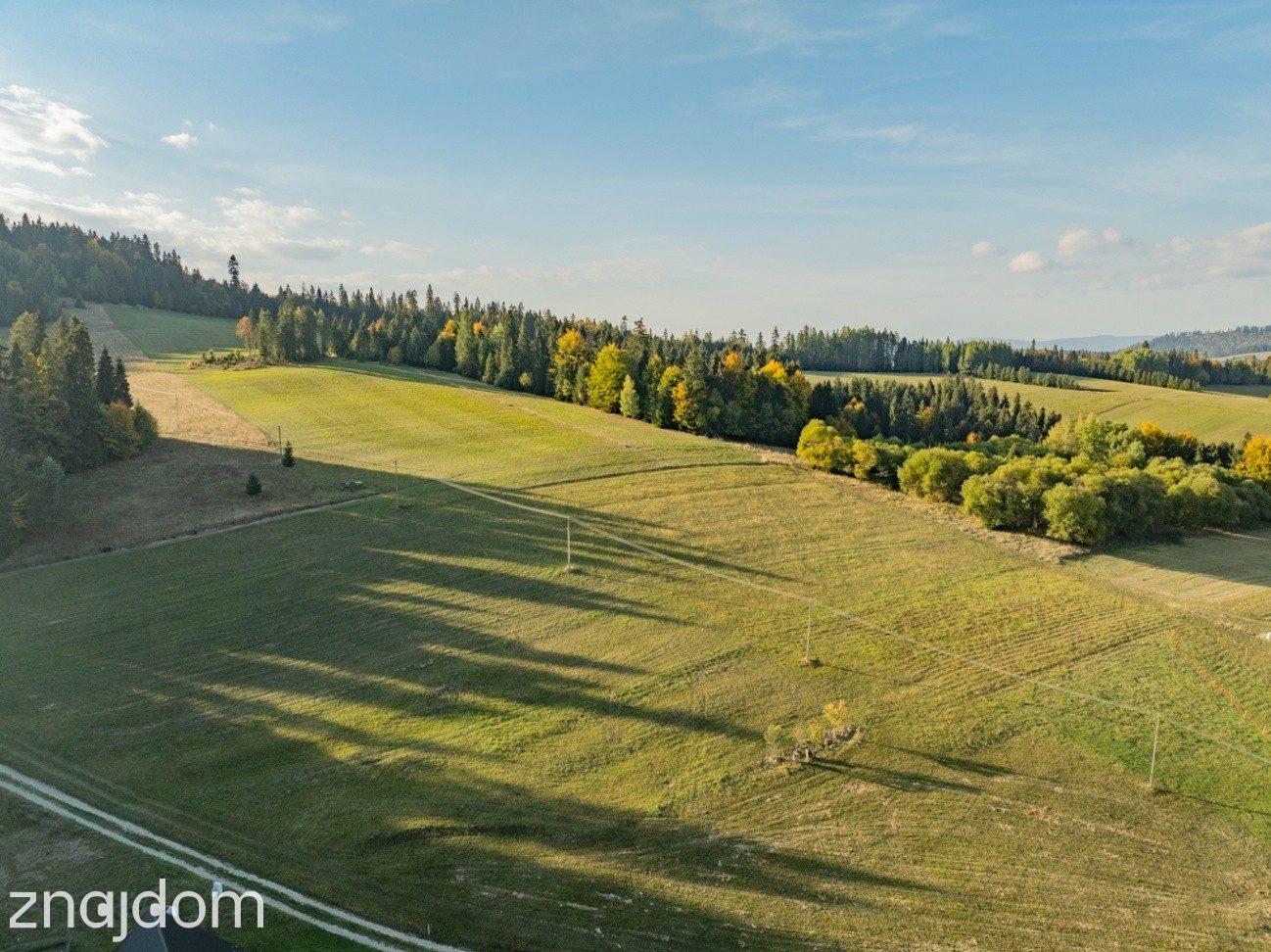Działka budowlana - Łapsze Niżne - 2000m2 - zdjęcie 15