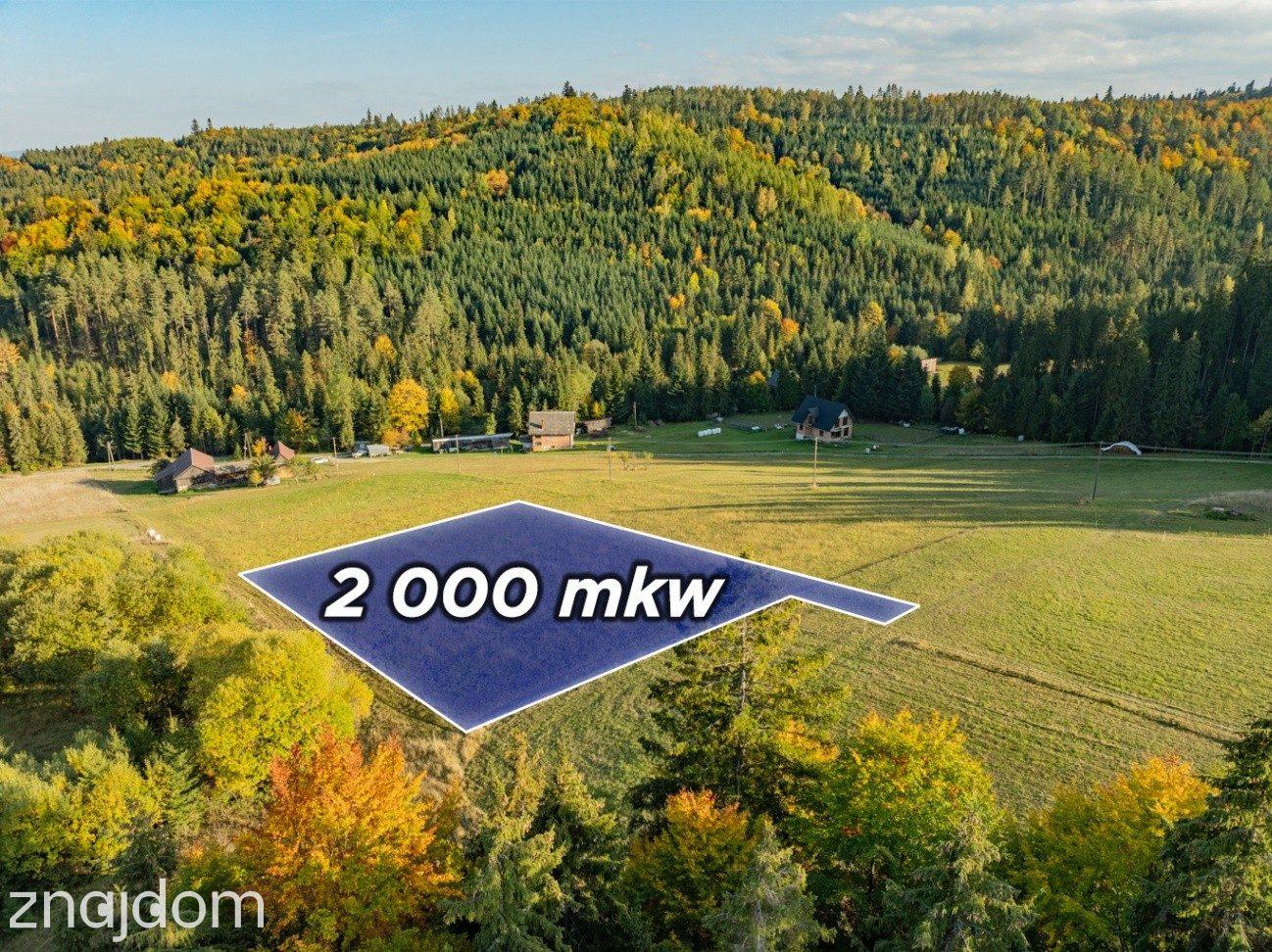 Działka budowlana - Łapsze Niżne - 2000m2 - zdjęcie 2