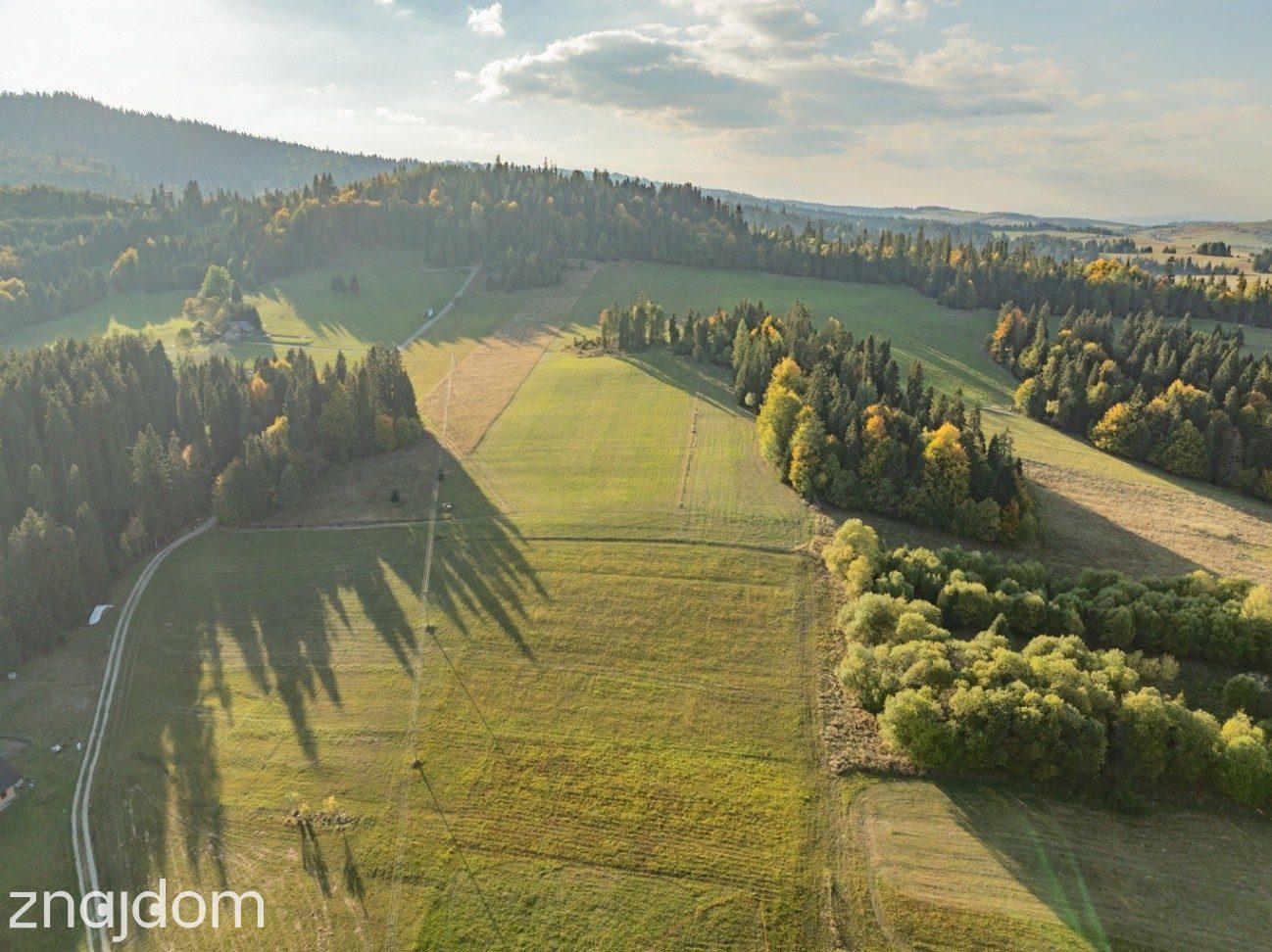 Działka budowlana - Łapsze Niżne - 2000m2 - zdjęcie 6