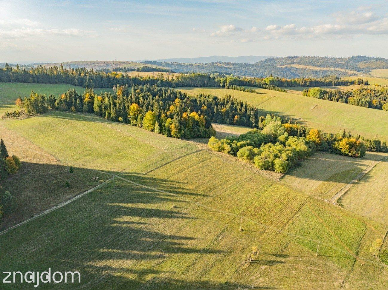 Działka budowlana - Łapsze Niżne - 2000m2 - zdjęcie 7