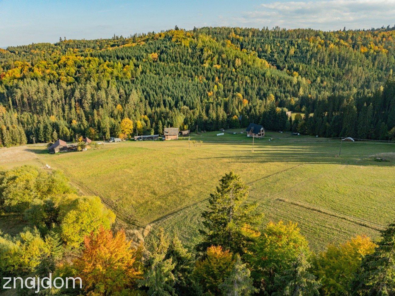 Działka budowlana - Łapsze Niżne - 2000m2 - zdjęcie 8