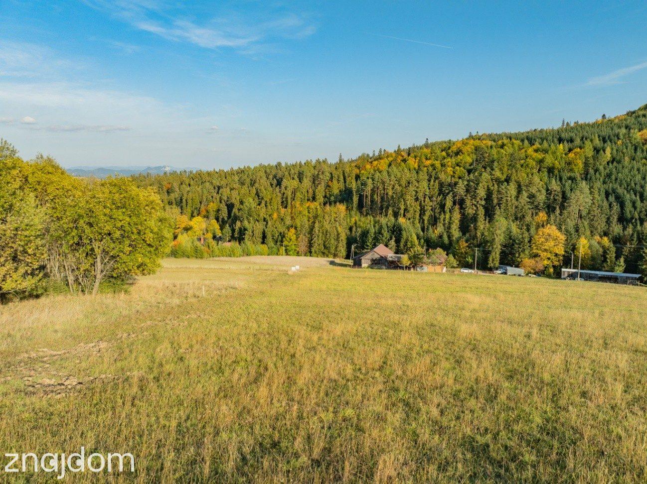 Działka budowlana - Łapsze Niżne - 2000m2 - zdjęcie 9