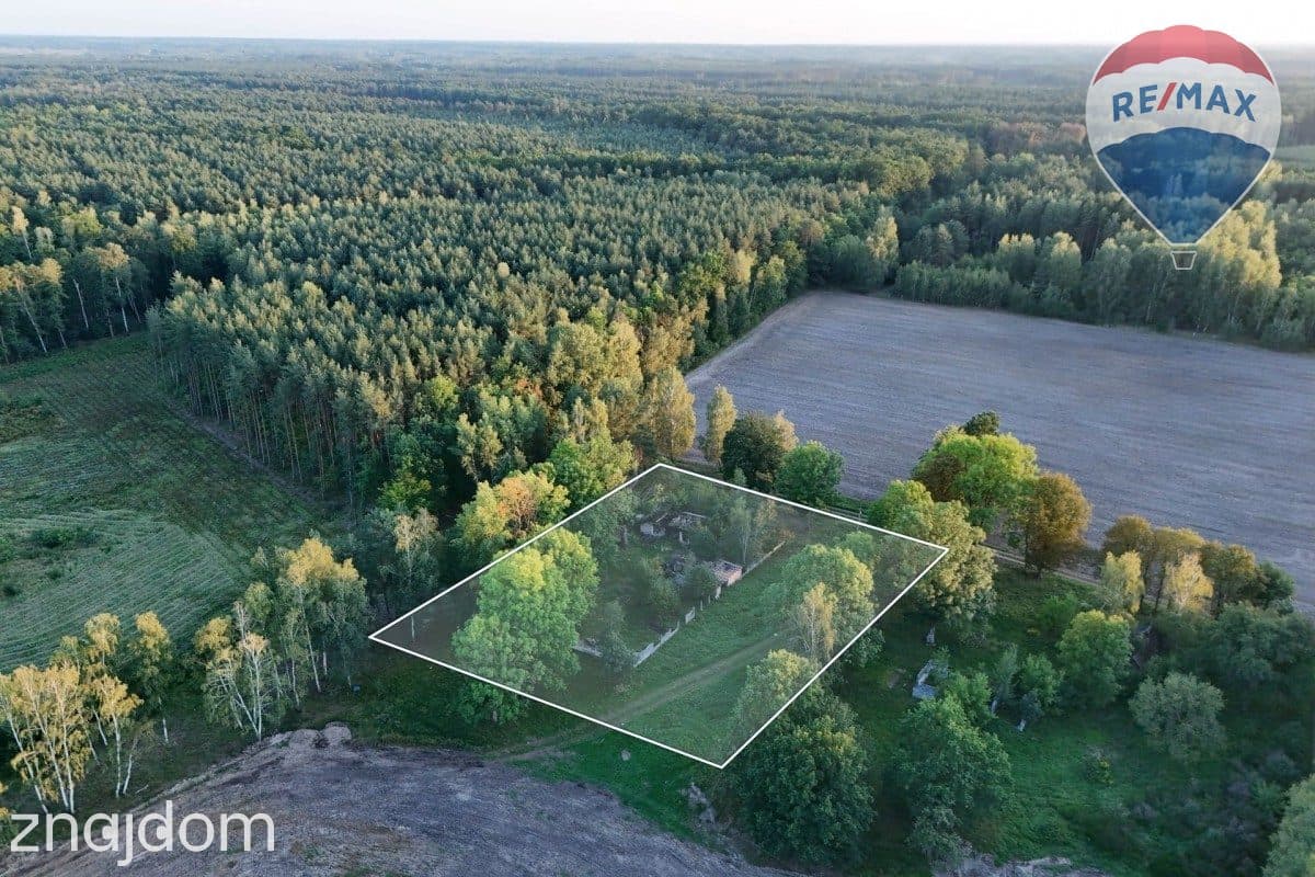 Siedlisko na skraju lasu | 3700 m² | Tomaszew, gm. Wiskitki