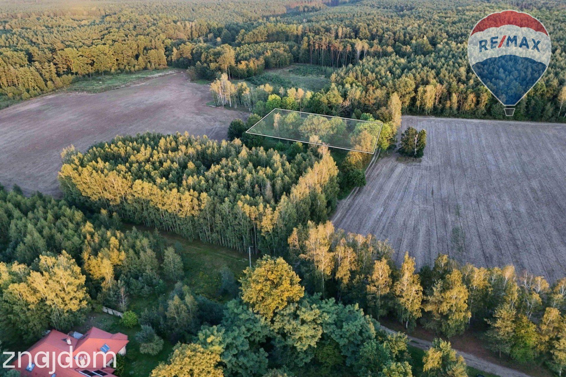 Siedlisko na skraju lasu | 3700 m² | Tomaszew, gm. Wiskitki - zdjęcie 10
