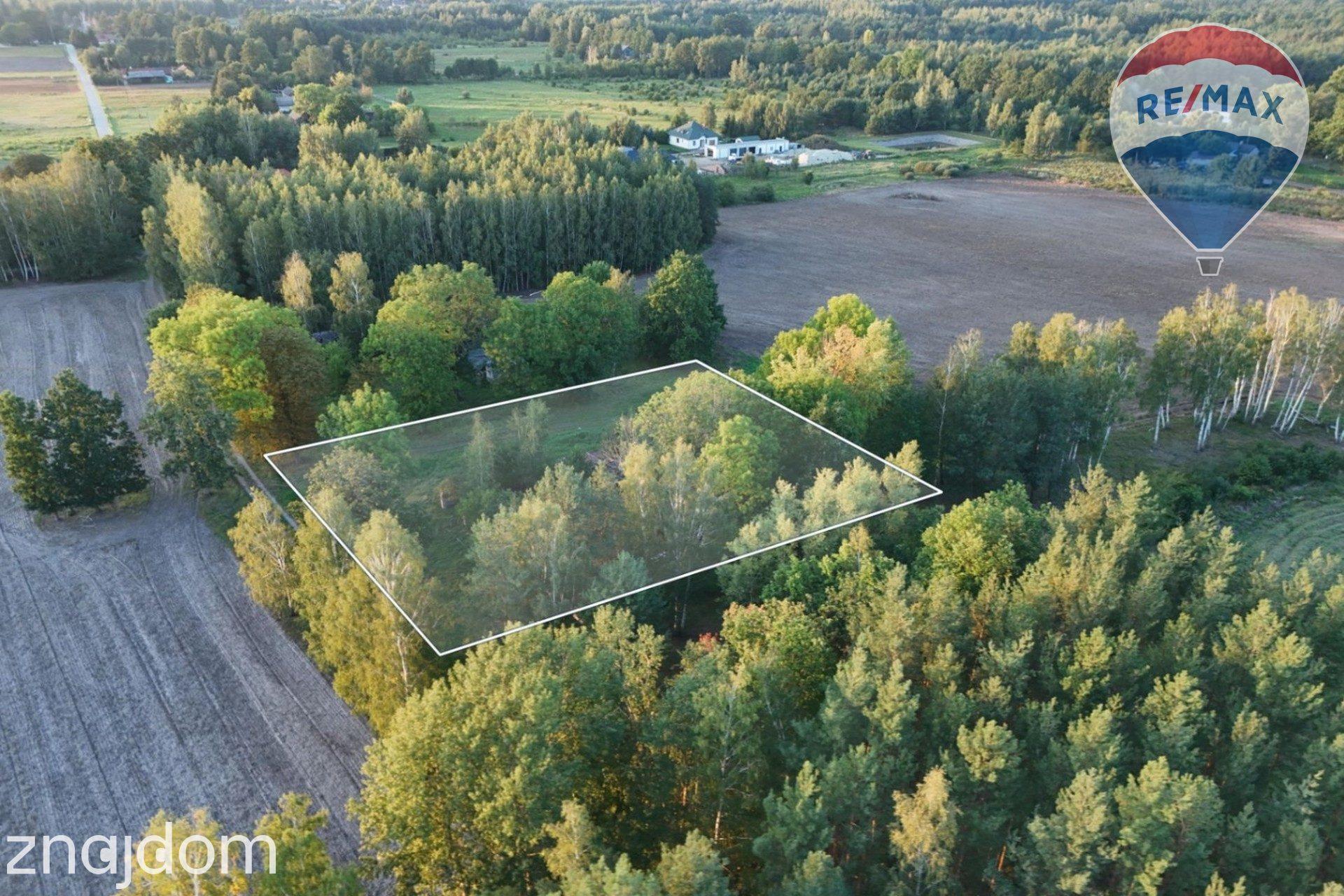 Siedlisko na skraju lasu | 3700 m² | Tomaszew, gm. Wiskitki - zdjęcie 11