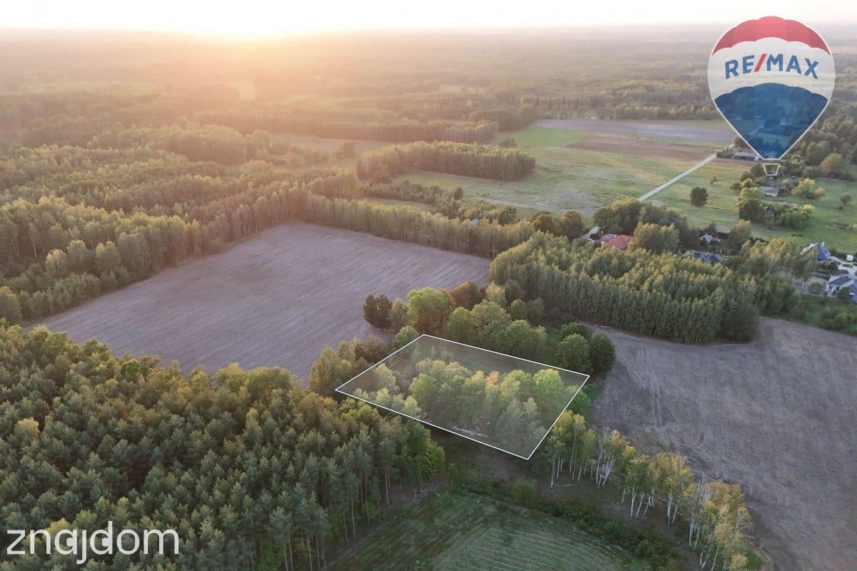 Siedlisko na skraju lasu | 3700 m² | Tomaszew, gm. Wiskitki - zdjęcie 4