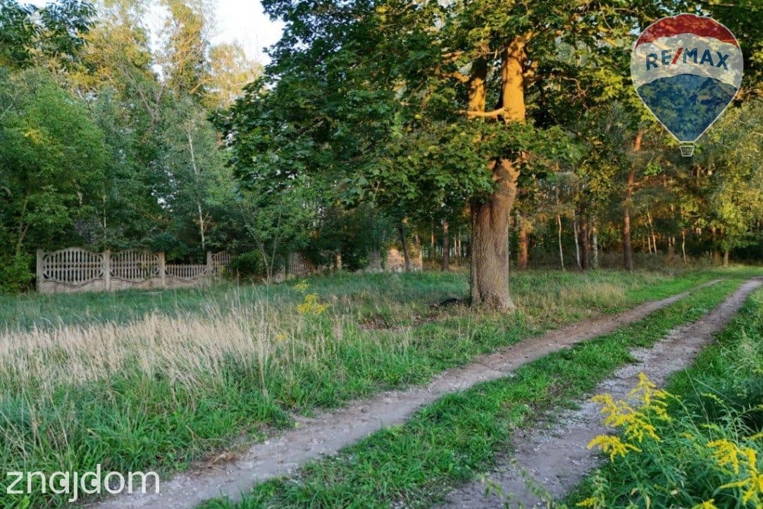 Siedlisko na skraju lasu | 3700 m² | Tomaszew, gm. Wiskitki - zdjęcie 6