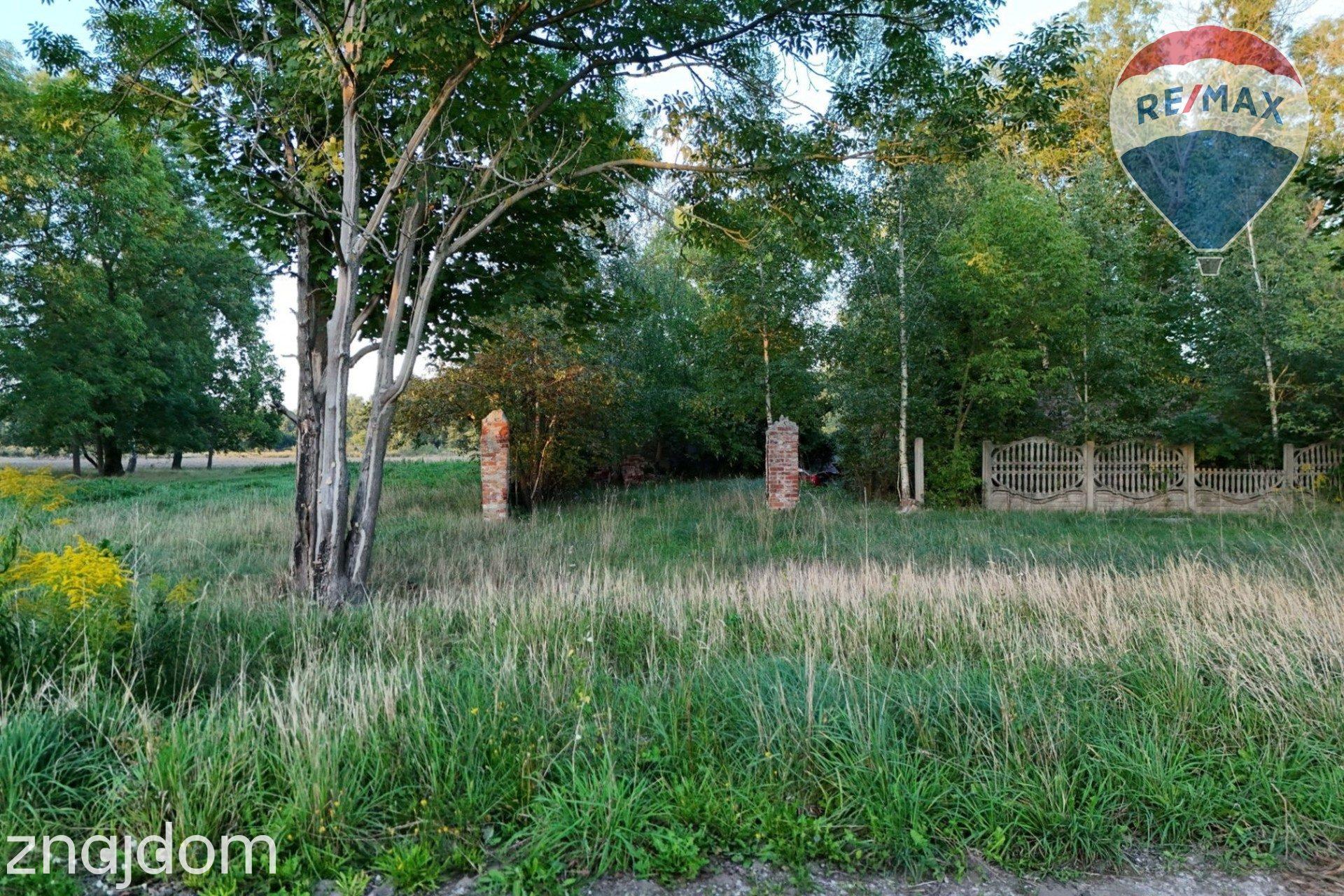 Siedlisko na skraju lasu | 3700 m² | Tomaszew, gm. Wiskitki - zdjęcie 7