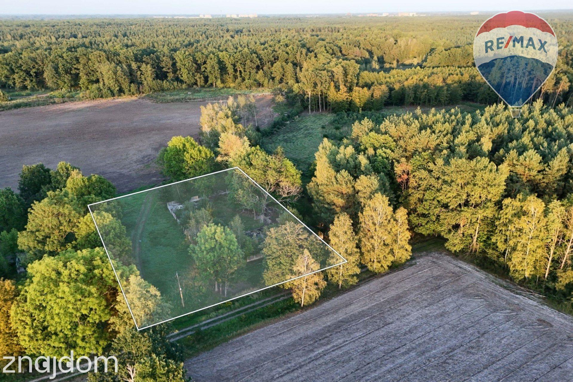 Siedlisko na skraju lasu | 3700 m² | Tomaszew, gm. Wiskitki - zdjęcie 9