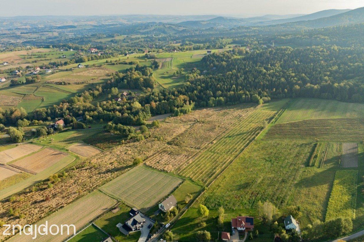Działka budowlana na sprzedaż Kamionna Trzciana - zdjęcie 2