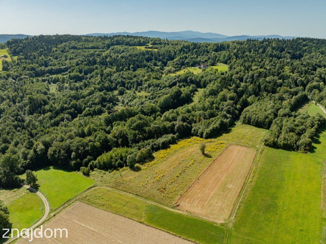 9 908 m² | zabudowa mieszkaniowa jednorodzinna | Skawinki - zdjęcie 11